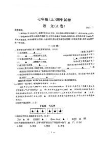2021-2022鼓楼区七上期中考语文试卷（无答案）