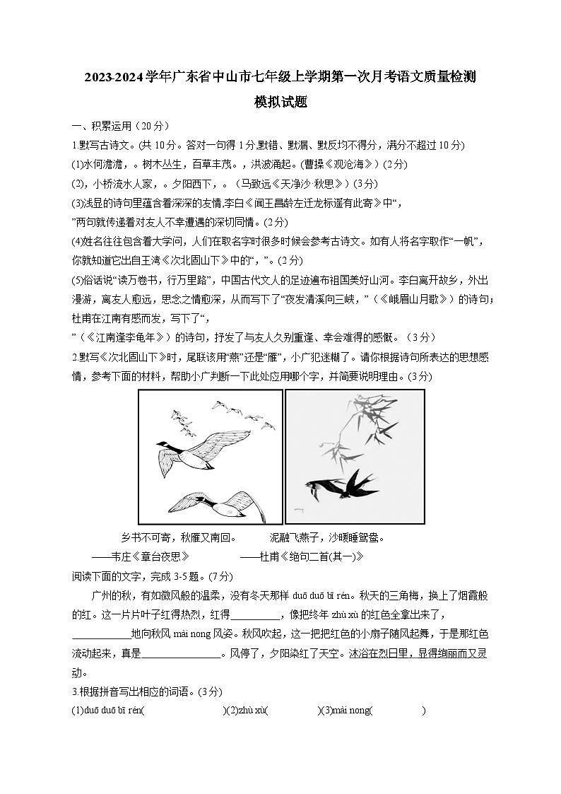 2023-2024学年广东省中山市七年级上学期第一次月考语文质量检测模拟试题（含解析）01