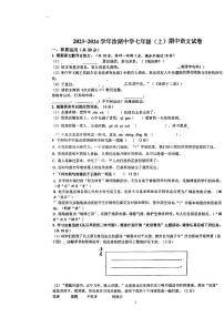 广东省惠州市汝湖中学2023-2024学年七年级上学期期中考试语文试题