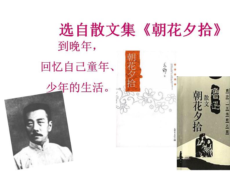 统编版语文七年级上册 9.《从百草园到三味书屋》课件04