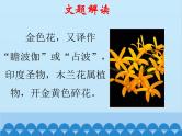 统编版语文七年级上册 7.《散文诗二首》课件