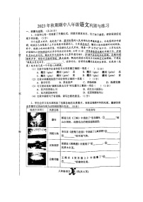 河南省南阳市内乡县2023-2024学年八年级上学期11月期中考试语文试题