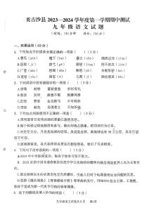 新疆维吾尔自治区喀什地区英吉沙县2023-2024学年九年级上学期11月期中语文试题