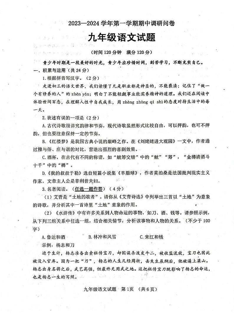 山东省聊城市东阿县2023-2024学年九年级上学期11月期中语文试题01