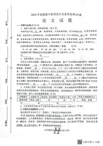 河南省南阳市唐河县2023-2024学年九年级上学期11月期中语文试题