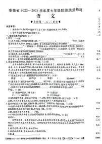 安徽省阜阳市太和县2023-2024学年七年级上学期11月期中语文试题