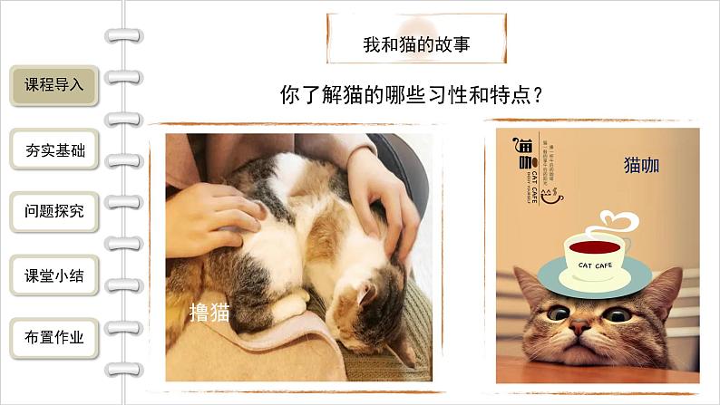 语文部编版七年级上册 猫第1课时精品课件第3页