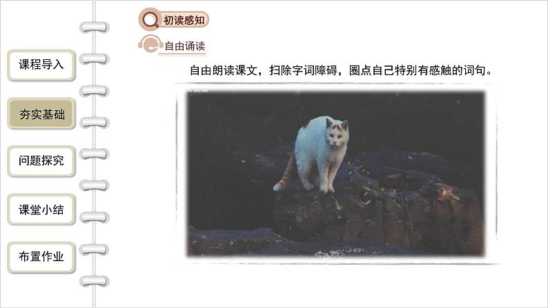 语文部编版七年级上册 猫第1课时精品课件第5页