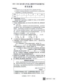 河南省漯河市召陵区2023-2024学年九年级上学期11月期中语文试题