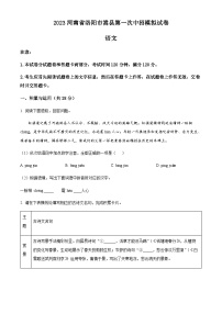 2023年河南省洛阳市嵩县中考一模语文试题