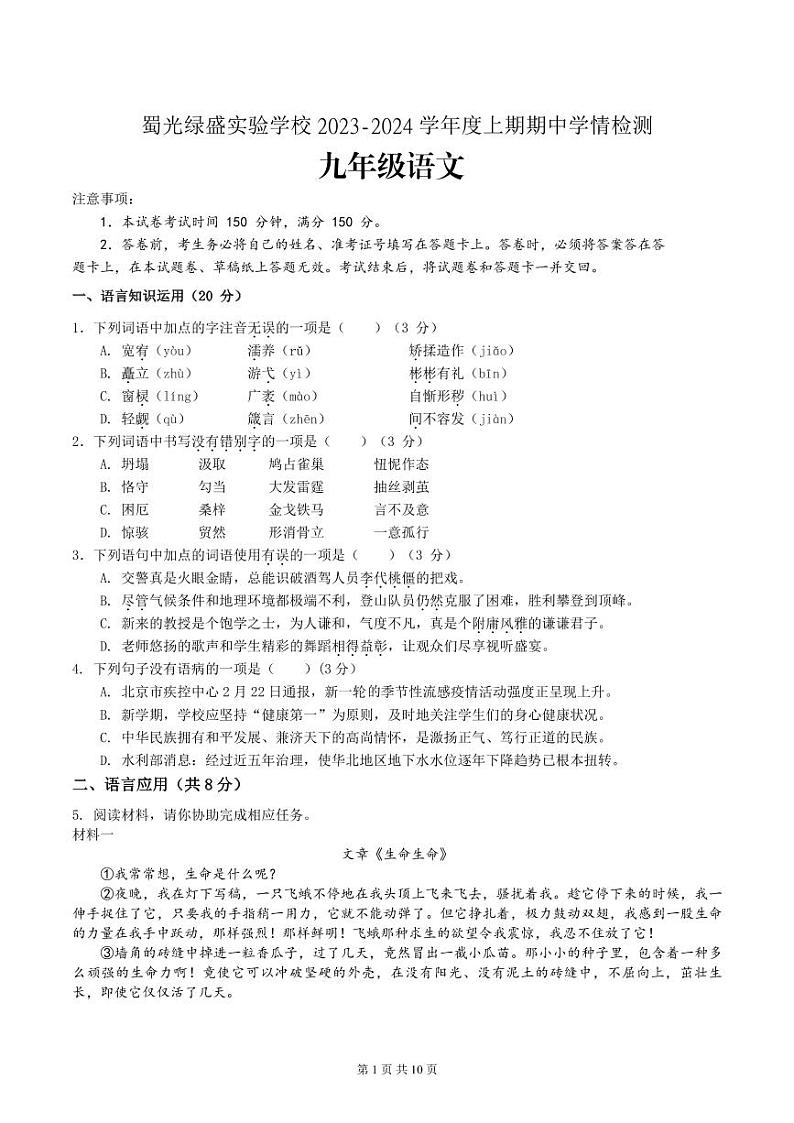 四川省自贡市蜀光绿盛实验学校2023-2024学年九年级上学期期中考试语文试题01