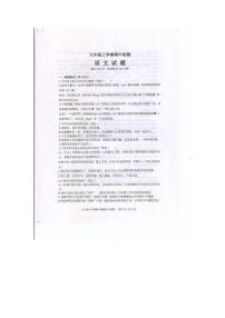 山东省泰安市新泰市2023-2024学年九年级上学期期中考试语文试题