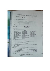 河北省沧州市肃宁县2023-2024学年上学期七年级期中考试语文试题