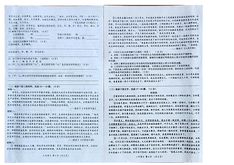 辽宁省朝阳市朝阳县羊山实验中学2023-2024学年八年级上学期11月期中语文试题第2页
