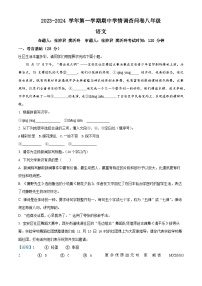 广东省深圳市宝安区宝安中学集团2023-2024学年八年级上学期期中语文试题（解析版）