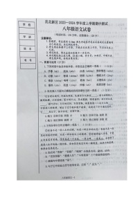 辽宁省沈阳市沈北新区2023-2024学年八年级上学期期中考试语文试题