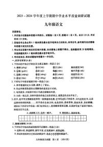 山东省临沂市河东区2023-2024学年九年级上学期期中考试语文试题