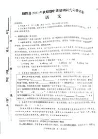 河南省新野县2023—2024学年九年级上学期期中考试语文试题