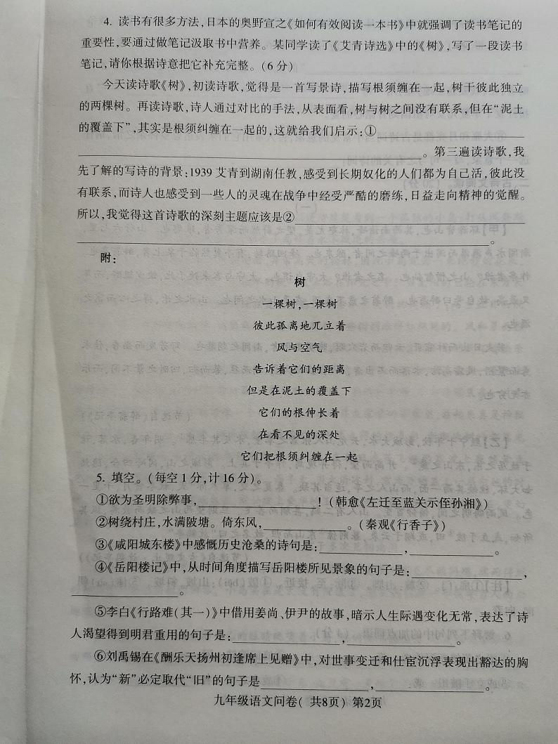 山东省聊城市阳谷县2023-2024学年九年级上学期11月期中语文试题02
