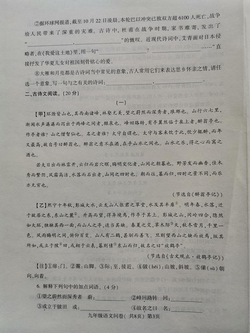 山东省聊城市阳谷县2023-2024学年九年级上学期11月期中语文试题03