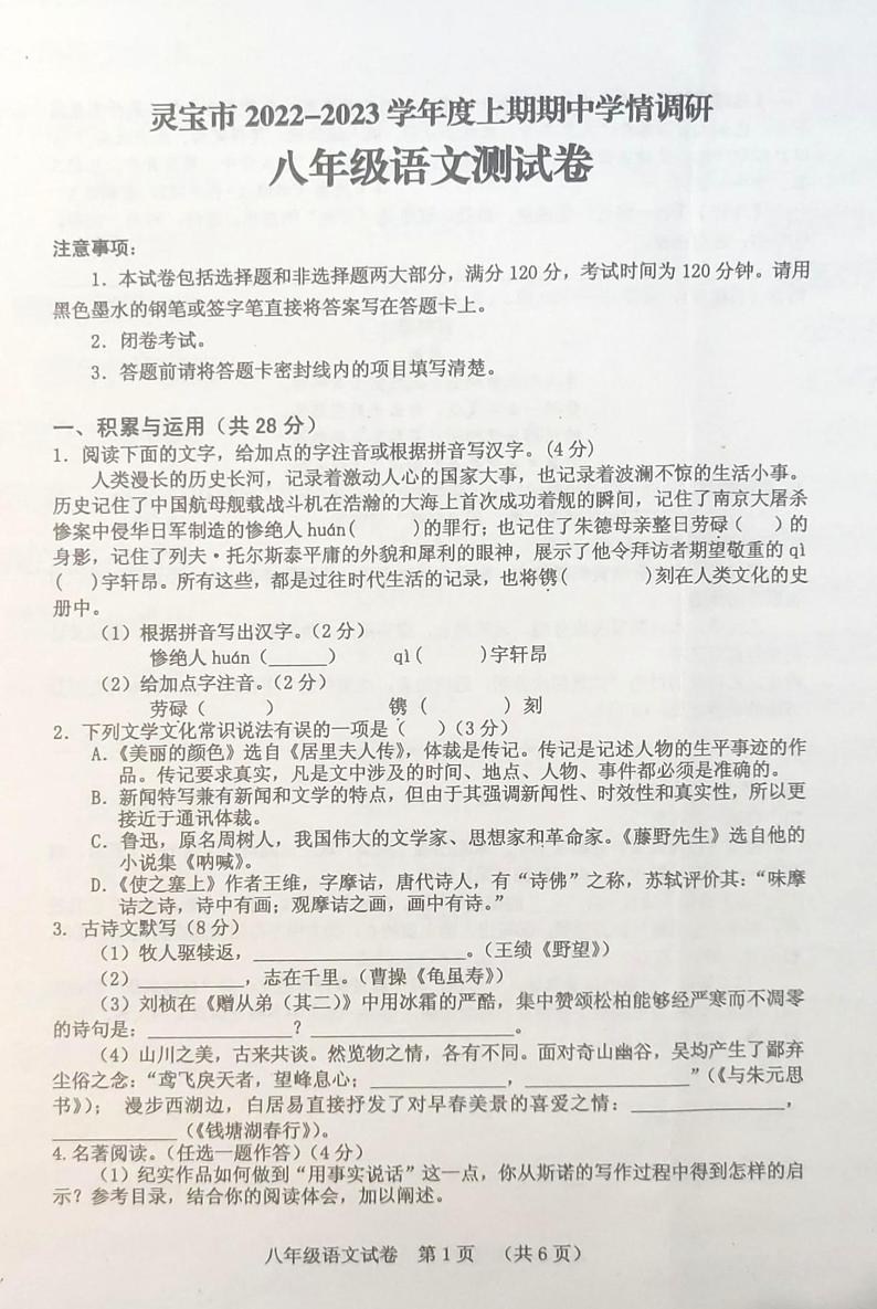 河南省三门峡市灵宝市2023-2024学年八年级上学期期中考试语文试题01