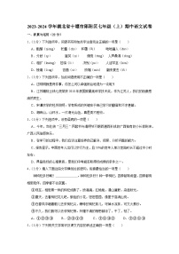 湖北省十堰市郧阳区2023—2024学年七年级上学期期中考试语文试题