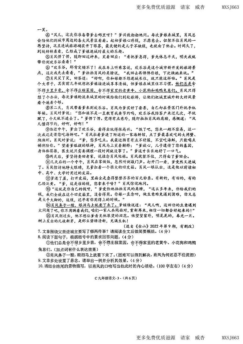 04，河南省驻马店市确山县2023-2024学年九年级上学期期中素质测试语文试题第3页