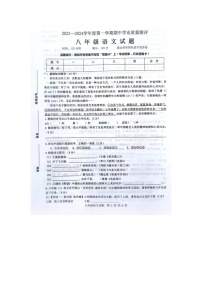 山东省菏泽市成武县2023-2024学年八年级上学期11月期中语文试题
