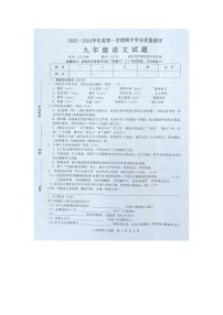 山东省菏泽市成武县2023-2024学年九年级上学期期中考试语文试题