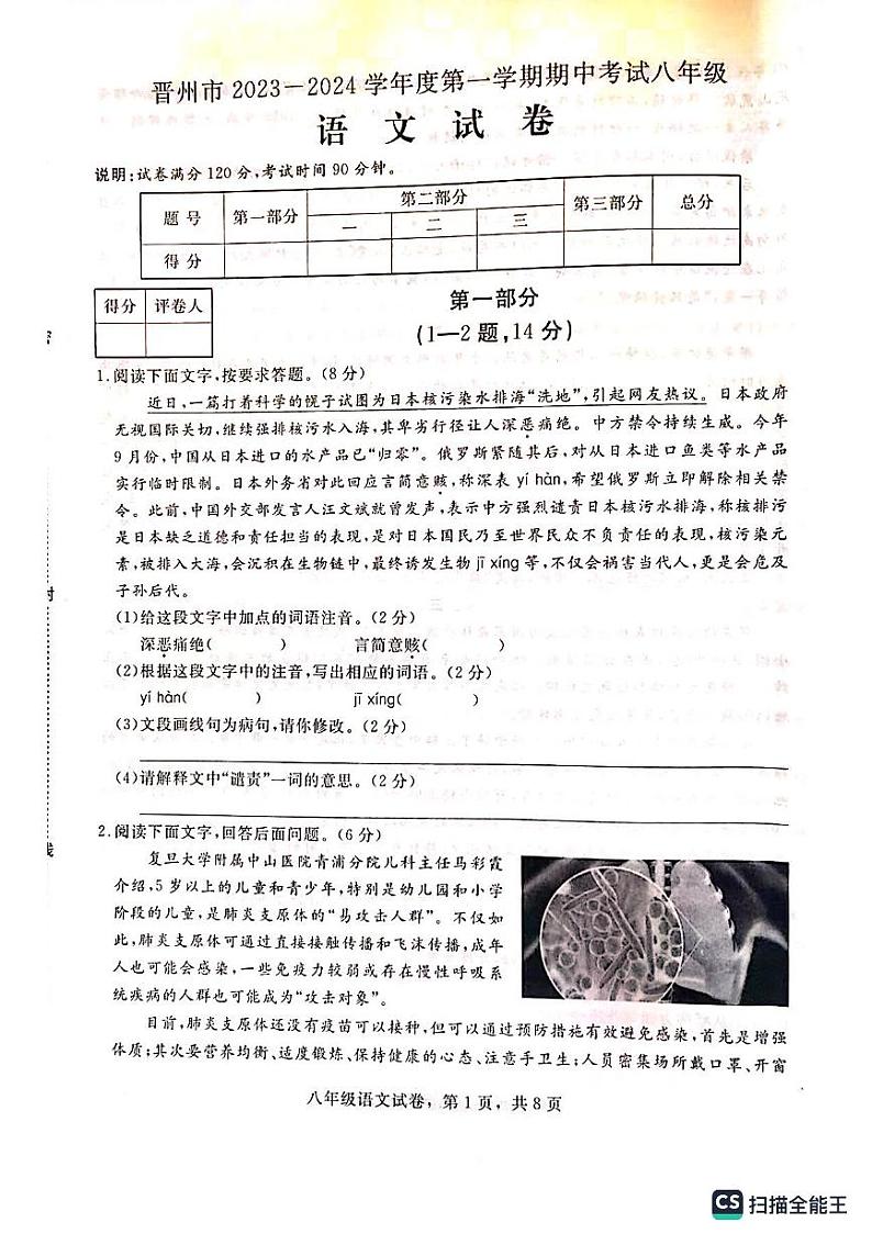 河北省石家庄市晋州市2023-2024学年八年级上学期11月期中语文试题01
