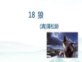 第18课《狼》课件2022—2023学年部编版语文七年级上册
