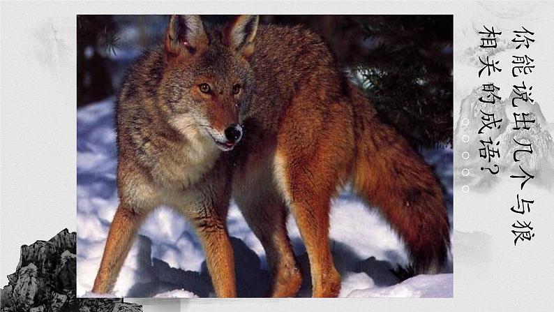 第18课《狼》课件2022—2023学年部编版语文七年级上册第2页