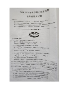 湖北省沙市2023-2024学年七年级上学期期中质量检测语文试题