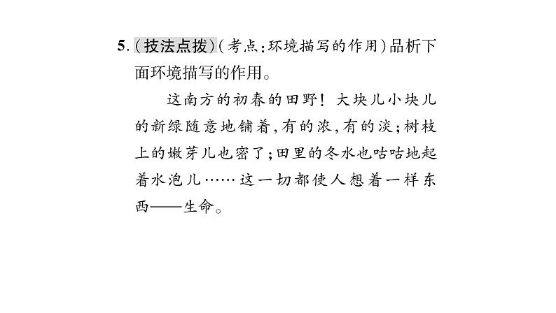 人教版七年级语文上第2单元感悟人间真情6散步课时训练PPT第6页