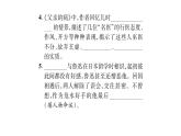 人教版七年级语文上第2单元感悟人间真情名著阅读阶段练（2）课时训练PPT