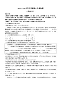河南省平顶山市郏县2023-2024学年七年级上学期期中语文试题