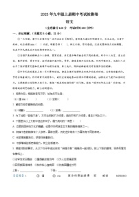 广西壮族自治区防城港市防城区2023-2024学年九年级上学期期中语文试题（解析版）