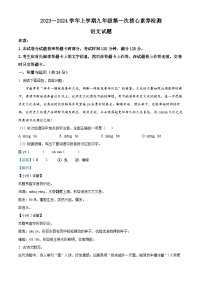 河南省许昌市2023-2024学年九年级上学期第一次月考语文试题（解析版）