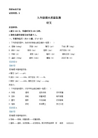 陕西省延安市富县2022-2023学年九年级上学期期末语文试题（解析版）
