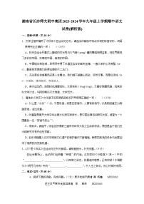 湖南省长沙市师大附中集团2023-2024学年九年级上学期期中语文试题