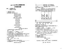 河南省 郑州市桐柏一中2023-2024学年七年级上学期11月期中考试语文试题