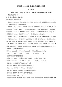 四川省广元市苍溪县2023-2024学年八年级上学期期中语文试题（解析版）