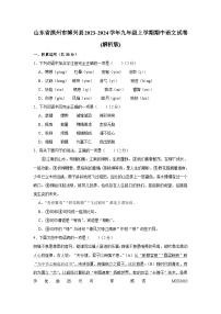 山东省滨州市博兴县2023-2024学年九年级上学期期中考试语文试题