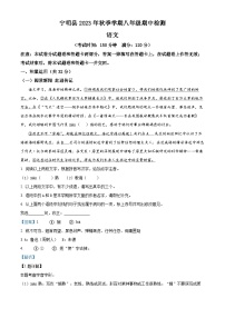 广西壮族自治区崇左市宁明县2023-2024学年八年级上学期期中语文试题（解析版）