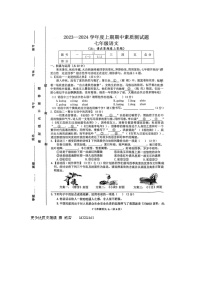 河南省驻马店市泌阳县2023-2024学年七年级上学期11月期中语文试题