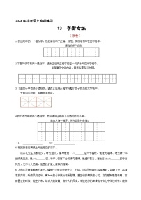14 、中考字形通关专练（原卷版）2024中考语文冲刺专练