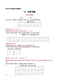 14、 中考字形通关专练（答案与解析版）2024中考语文冲刺专练