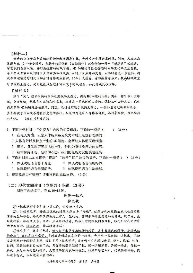 广西壮族自治区梧州市苍梧县2023-2024学年九年级上学期11月期中语文试题03