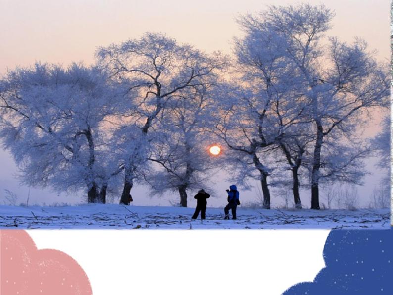 统编版语文七年级上册 2 济南的冬天课件05