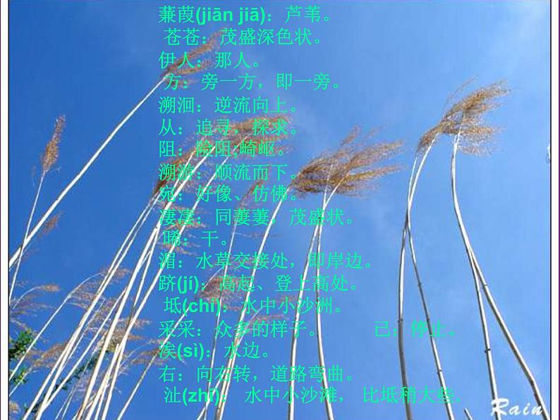 部编版语文《蒹葭》PPT课件第5页